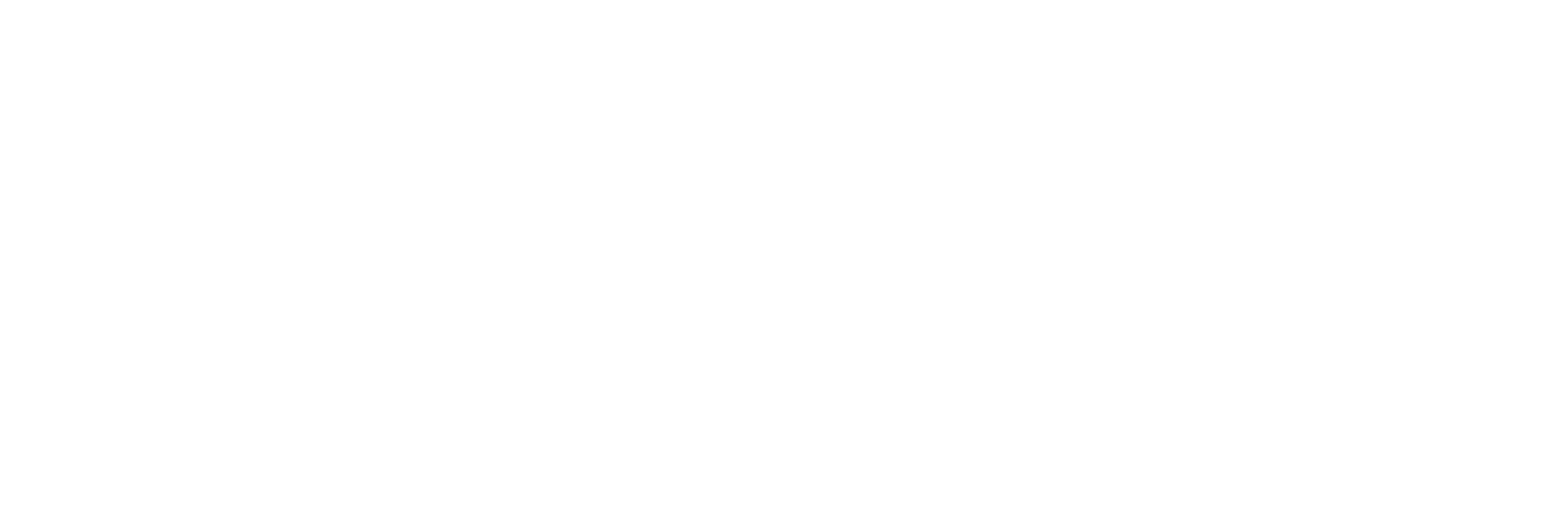 SMIT Advisors